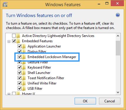 Embedded lockdown manager что это