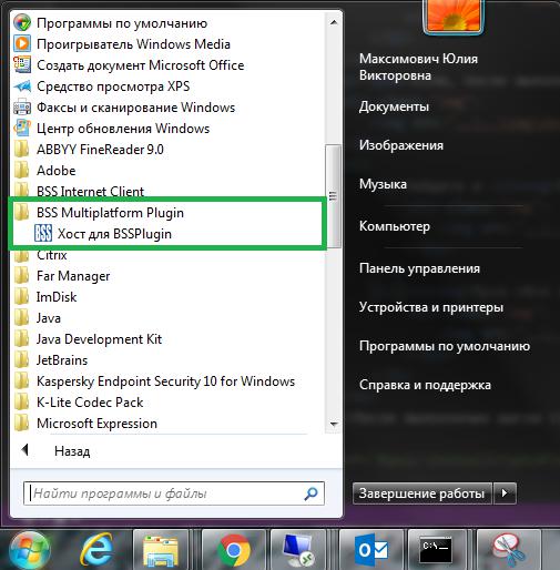 Что такое bss plugin host