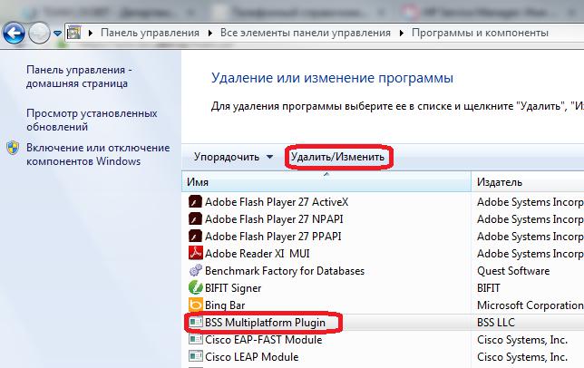 Что такое bss plugin host